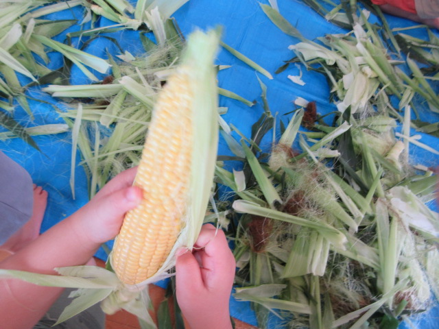 とうもろこしの皮むきの様子