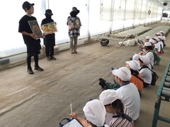 横一列に並んで床に座り農家の方の話を聞く児童たちの写真