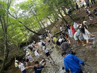キャンプ場周辺の川で、川に入って遊ぶ大勢の児童達の写真