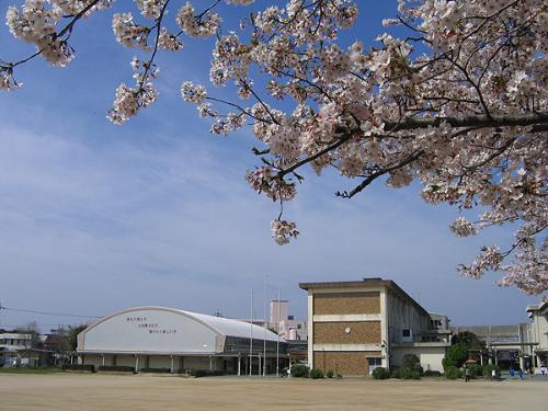 桜木小学校画像